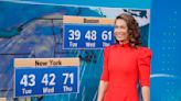 Meteorologist Ginger Zee takes out her clip-in hair on live TV