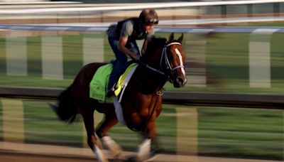 Camino al Derby de Kentucky: ¿Cómo se clasifican los caballos para la carrera?