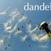 Dandelion – Eine Liebe in Idaho