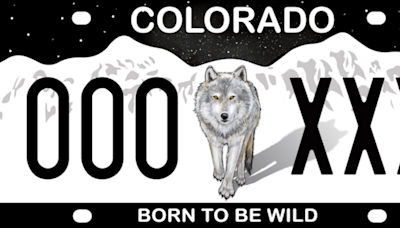 Colorado wolf license plate raises more than $300,000 in first six months