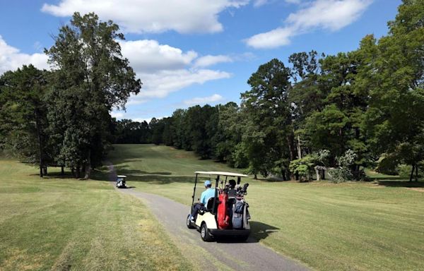 Timberrr! Major tree clearing to take place at Winston Lake golf Course. And opinions differ.