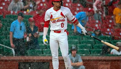 St. Louis Cardinals game vs White Sox delayed with one out to go