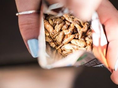 “The timing for edible insects could not be better” – Eat Grub co-founder Shami Radia, the bitesize interview