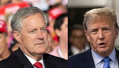 Mark Meadows asked the Supreme Court to recognize his 'just following orders' defense. A right-wing justice wasn't buying it.