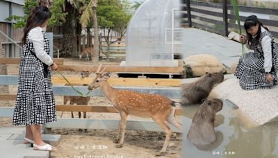 穿上MiFresa財財的手作基地，到廢物媽媽育兒農場走跳去，新竹景點推薦 | 部落客頻道 | 妞新聞 niusnews