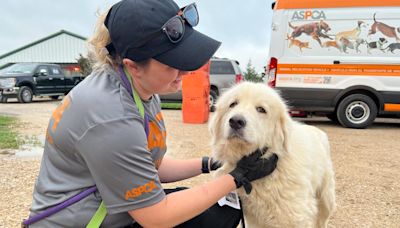 Animals displaced in recent storms moved from All American Dogs shelter in Pilot Point to new shelter