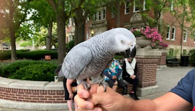 La Grange’s Annual Pet Parade, “America’s Original,” not deterred by rain