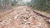 Road to popular falls in Cape Breton Highlands National Park to become a hiking trail