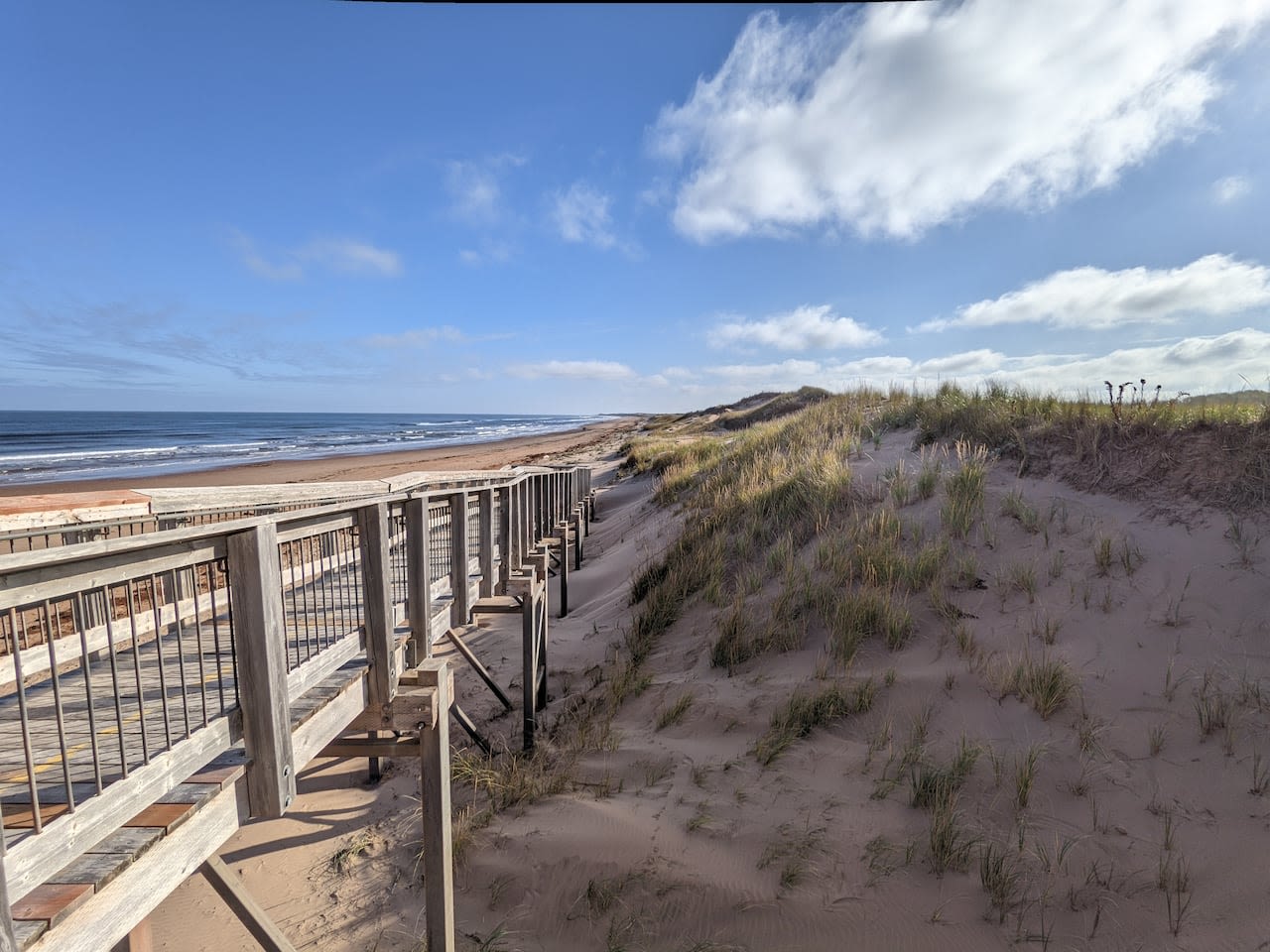 Dunes at P.E.I. National Park showing signs of recovery from Fiona's wrath