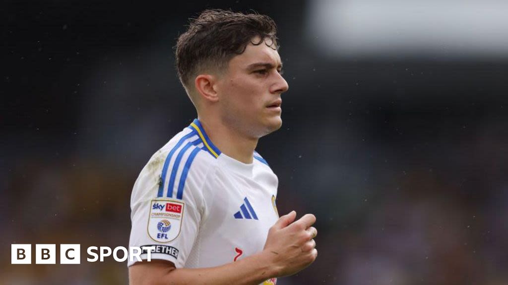 Daniel James: Wales and Leeds United winger ruled out for a month