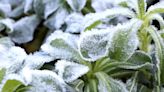 Parts of Utah under ‘freeze watch’ as temperatures threaten to plummet