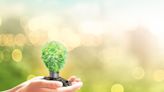 Why A Greener Future Depends On Nurturing Sustainable Entrepreneurship