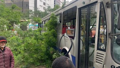 Conductor del Corredor Azul pierde el control por falla de frenos y choca contra árbol en avenida Arequipa