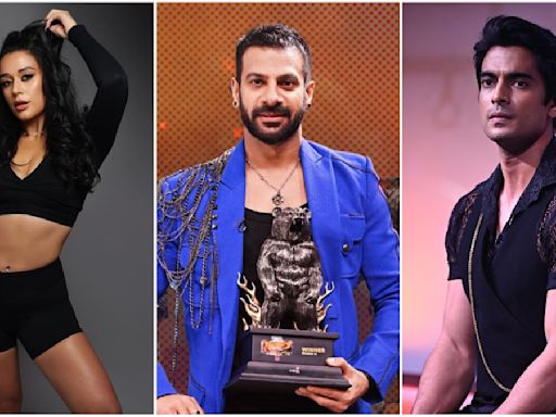 Khatron Ke Khiladi 14 Winner: Age Gap Between Karanveer Mehra & Other Finalists Gashmeer, Krishna - DEETS