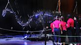 Last chance to check out ‘Dinosaurs in Motion’ exhibit at Air Force Museum