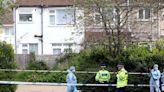 Adolescente de 13 anos morre em ataque com espada em Londres