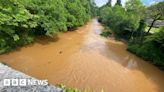 River Dart pollution sparks 'do not swim' warnings