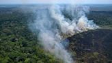 巴西亞馬遜上半年1萬3489起野火 20年同期最多