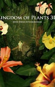 Kingdom of Plants 3D