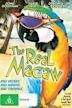 The Real Macaw