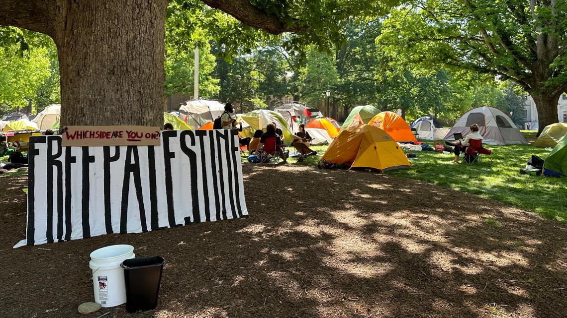 More than 500 UNC faculty sign petition for amnesty for students suspended after last week's protests