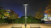 Light pollution: How street lights best help prevent insect deaths