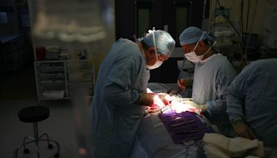 Muere el paciente que recibió el primer trasplante de riñón de cerdo modificado genéticamente