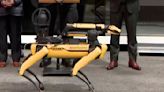 RoboCop? No, RoboDog: Robotic dog rejoins New York police