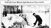 Ripped from the LSJ, 1924: Irate Father Takes Home 16 Year-Old Daughter Found On Moose Floor