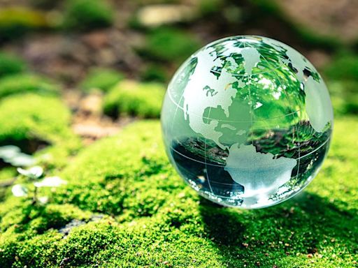 Día Mundial del Medio Ambiente:¿Por qué se celebra el 5 de junio?