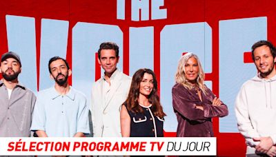 Programme TV : The Voice, Les secrets du Finistère : Le chant des sirènes… que regarder à la télé ce soir ?