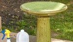 How to Clean a Bird Bath the Right Way