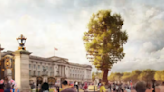 Jubilee 'Tree of Trees': how to see the 'living sculpture' outside Buckingham Palace