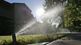 When can I water my lawn in Sacramento? City schedule is about to change