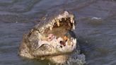 Man Rescued by His Wife From Certain Death During Terrifying ‘Tug of War’ With 13-Foot Crocodile