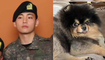 BTS' V shares pic of his ‘current situation’, gives glimpse of pet Yeontan; fans say: Kim Taehyung came home