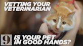 Vetting your veterinarian: Is your pet in good hands?