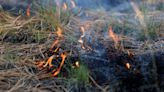 Coconino National Forest to resume prescribed fire plans following rain delays