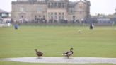 Alfred Dunhill Links Championship third round abandoned due to Scotland storms