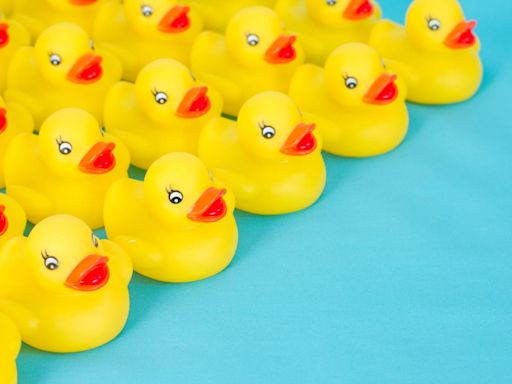 Why Are There Rubber Ducks Hidden On Cruise Ships?