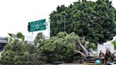 Guadalajara: Tormenta de anoche registró vientos de hasta 109 km/h