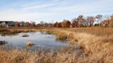 Wetlands of Seldom Seen Park deserve more attention
