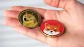 Dogecoin, Shiba Inu Fall As Ethereum Co-founder Vitalik Buterin Donates Over $500K Worth Of Memecoins To Animal Charity