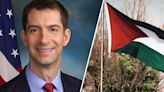 'Senator advocating for vehicular homicide': Tom Cotton accused of calling for 'vigilante violence' against pro-Palestine protesters blocking traffic