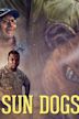 Sun Dogs (2017 film)