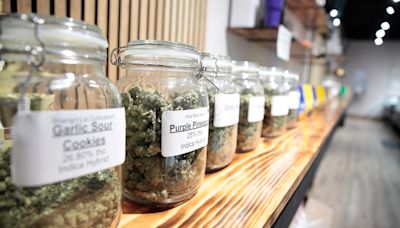 Recreational marijuana backers try to overcome rocky history in South Dakota