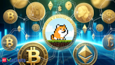 Investing in meme coins: Key strategies from Giottus co-founder Arjun Vijay - The Economic Times