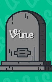 The Vine Complete Compilation by William Vu