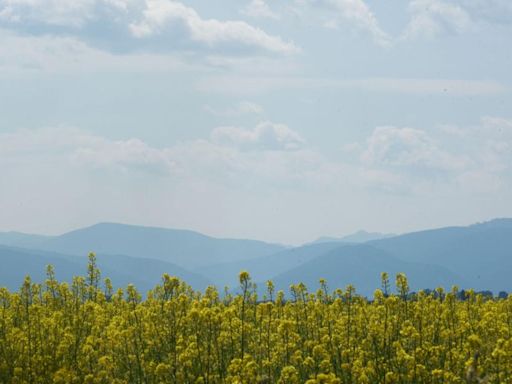 Four small wildfires pop up around southwest Montana over the weekend