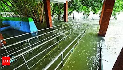 Musical fountain closed due to submerged bridge at Brindavan Gardens in KRS dam | Mysuru News - Times of India